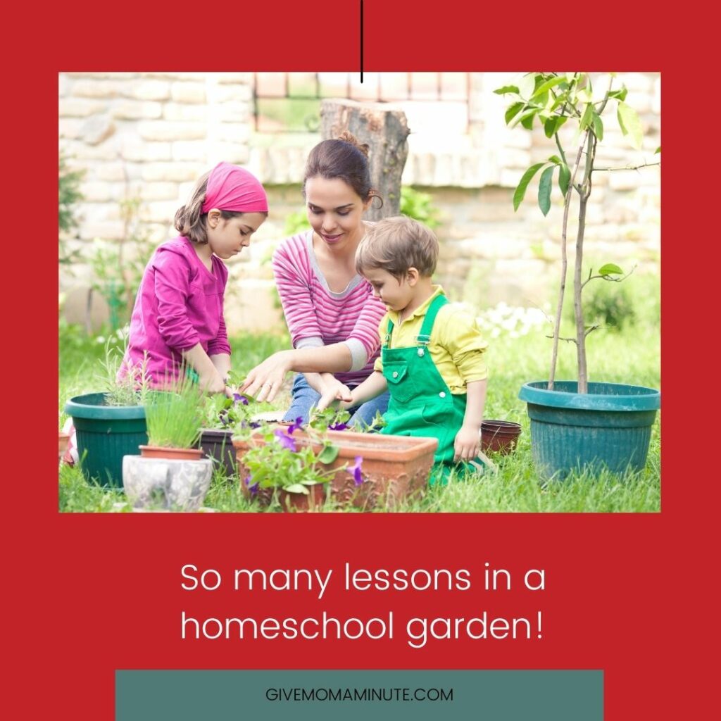 Gardening Activities for kids in your homeschool, secular homeschool gardening activities, 