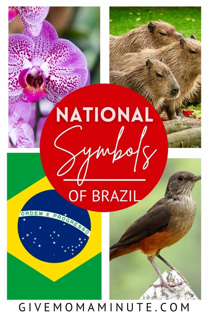 Brazils National Animal, national symbols of Brazil, national flower of Brazil, Brazil national tree