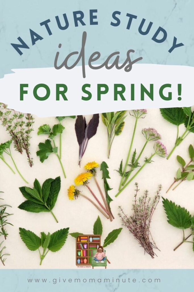 nature study ideas for spring, charlotte mason method for secular homeschool, secular science homeschool, nature study resources