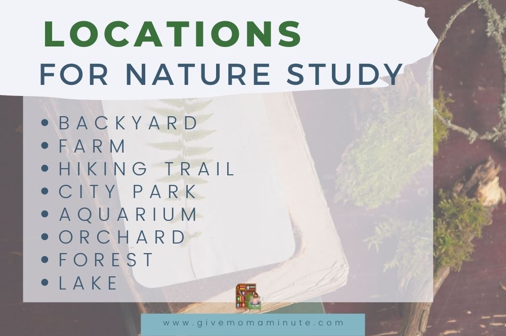 nature study ideas for spring, locations for nature study secular science