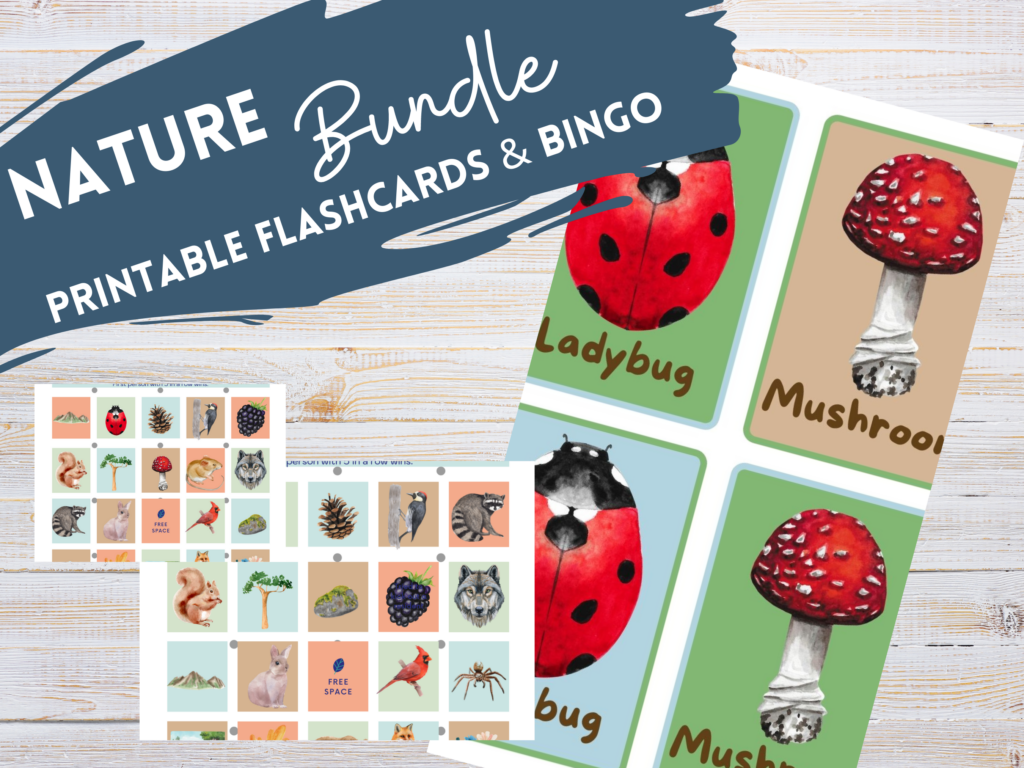 Nature Study bingo and flashcards Bundle