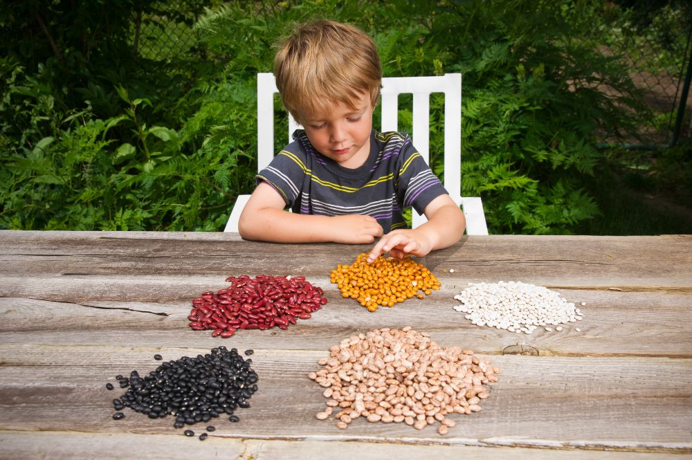 boy counting beans for homeschool math